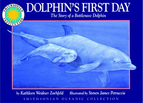 Dolphin's first day