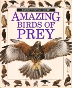 Amazing birds of prey