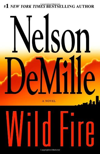 Wild fire : a novel
