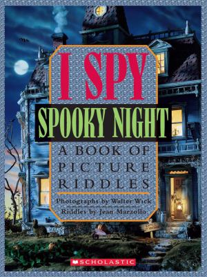 I spy, spooky night : a book of picture riddles