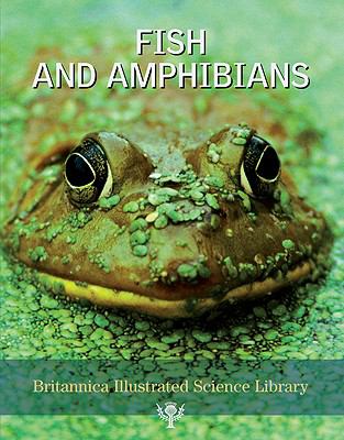 Fish and amphibians.