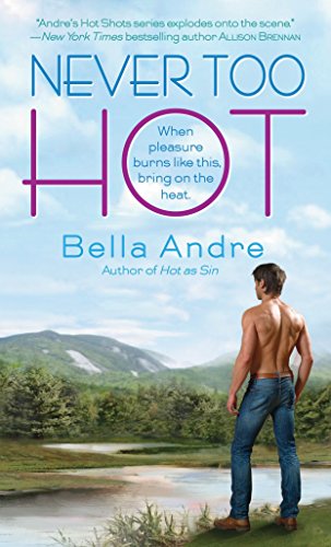 Never too hot : a novel