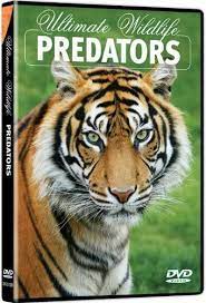 Ultimate wildlife : predators [DVD]