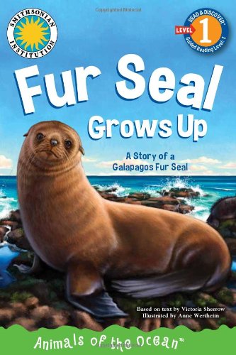 Fur Seal grows up : a story of a Galapagos Fur Seal