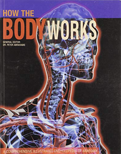 how the body works