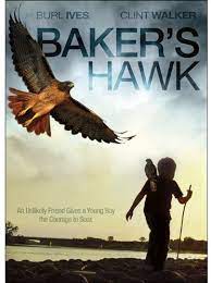 Baker's hawk [DVD]