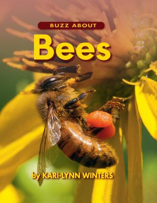 Buzz about bees