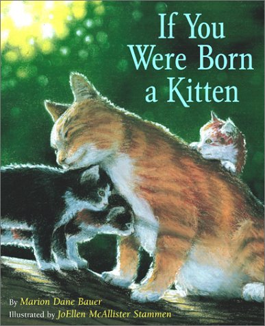 If you were born a kitten