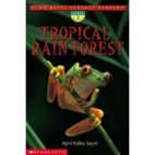 Tropical rain forest