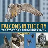 Falcons in the city : a story of a peregrine family