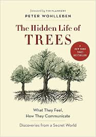 The hidden life of trees : what they feel, how they communicate : discoveries from a secret world