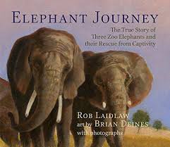 Elephant journey : the true story of three zoo elephants and their rescue from captivity