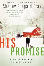 His promise : an Amish Christmas in Hart County