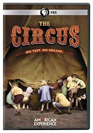 The circus [DVD]