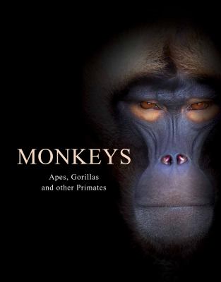 Monkeys : apes, gorills and other primates