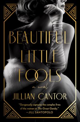 Beautiful little fools : a novel