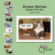 Sylla Sense decodable books kit: green photo series [kit] / written by Lee-Ann Lear ; stock photos by Shutterstock and Can Stock Photo Inc.
