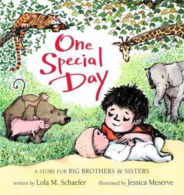 One special day : a story for big brothers & sisters