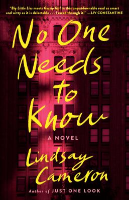 No one needs to know : a novel