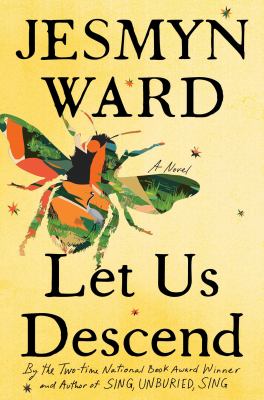 Let us descend  : a novel