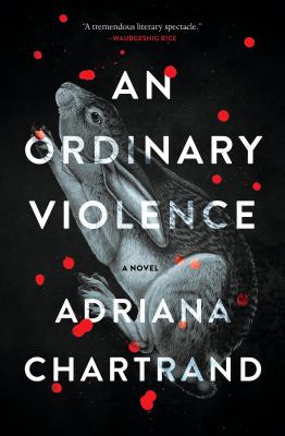 An ordinary violence  : a novel