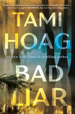 Bad liar  : a novel