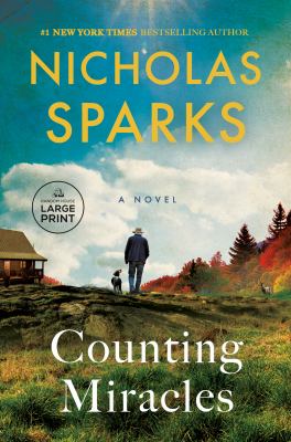 Counting miracles : a novel